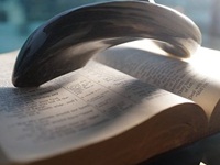 PTE留学资讯：申请澳洲硕士留学有哪些条件