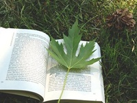 PTE口语表达：如何花式地夸一个人长得好看呢？