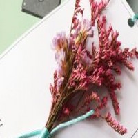 PTE考试和雅思该如何选择？