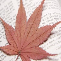 看似低调的PTE其实大有来头