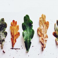 PTE考试报名和参加考试的注意事项