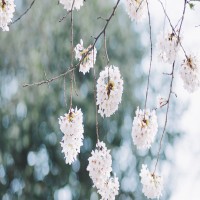 三大电信运营商对比