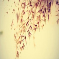 澳洲移民 | 澳洲配偶签的五大误区，一定要小心！
