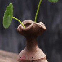 奔走相告！澳媒权威发布不衰老的秘密：就是街边这不到5刀的咖啡！