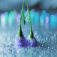 2019各类签证拒签率猛增！尤其是这两种，上万华人因忽视这个被拒签！