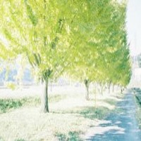 网信办发布意见稿：就个人信息而言，这类人将无法出境