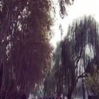 重磅！最新QS世界大学排名出炉！澳洲大学集体前进，含金量大增