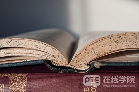 PTE作文思路