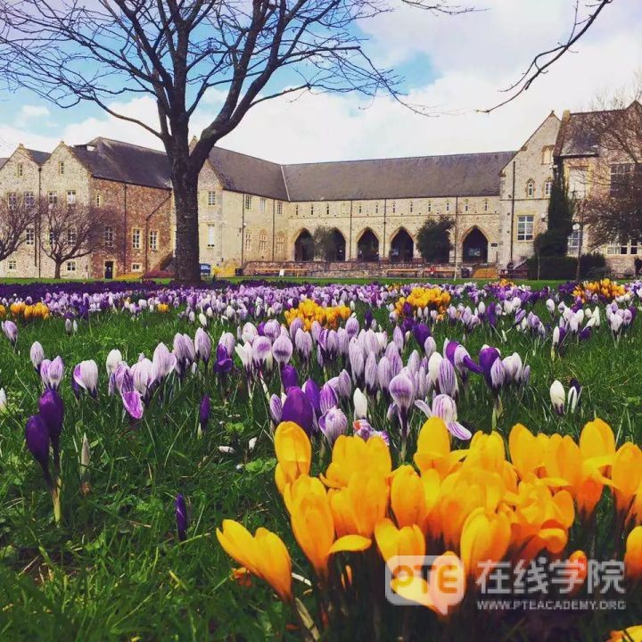 去英国留学，是选热门专业还是冷门专业？