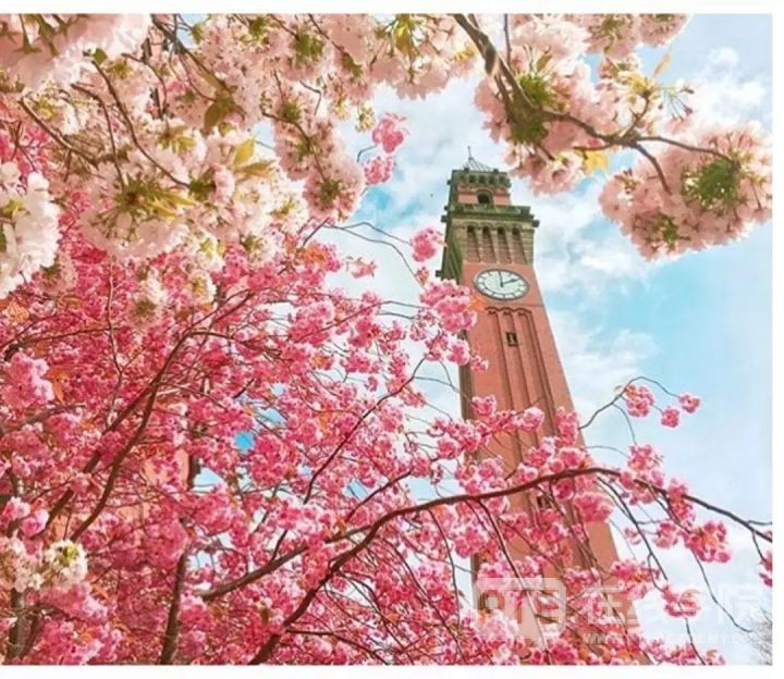 去英国留学，是选热门专业还是冷门专业？