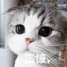 重磅！澳洲PR即将迎来大动荡，拥有选举投票权？澳洲人炸了！
