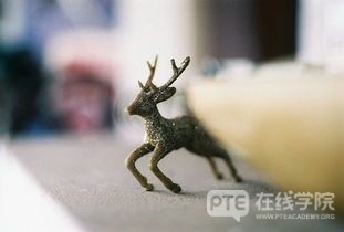澳洲留学，这三大专业性价比最高