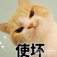 雅思UKVI机考出分时间缩短？PTE五天内一定能出分！