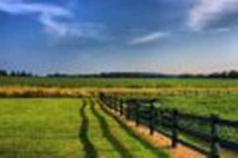 547812cc047b5_120_80 (1).jpg