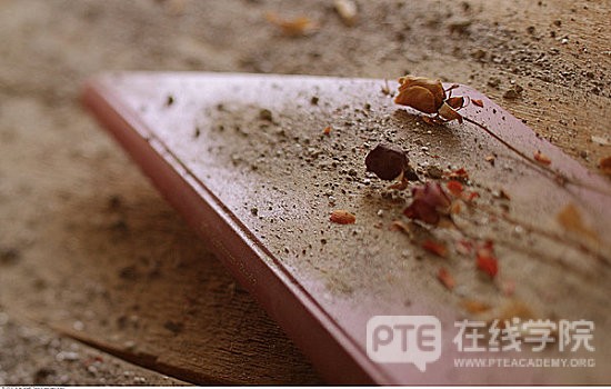  PTE干货：FIB高频机经讲解（二）