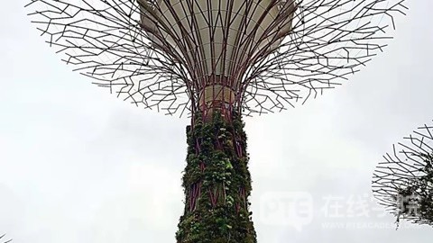 如何攻克阅读“多选”？PTE大神：牢记评分标准，活用4大技巧