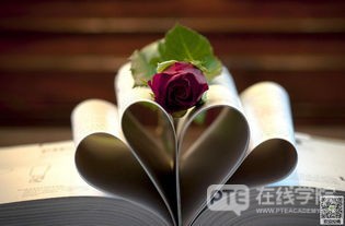 “破破烂烂”的澳大利亚到底富裕在哪儿？真相令人震惊！