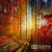 最新数据显示，澳洲赶超英美，成最受欢迎留学国！