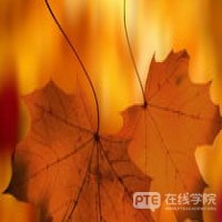 120万华人在澳洲，真正吸引华人移民澳洲的是什么？