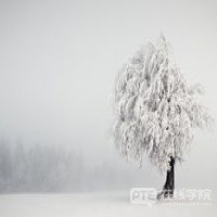 超实用RA答题技巧，如何提高正确率，考试不翻车?