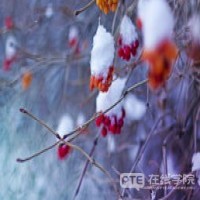 好消息！PTE考试湖北大学武汉考点来啦！