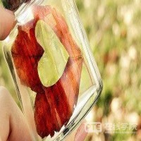 上班族应该如何规划PTE复习时间，工作学习两不误？