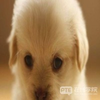PTE口语发音分奇低，这些发音问题你注意到了吗