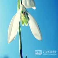 澳大利亚卓越研究报告专业解读——澳洲院校科研实力