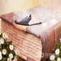【PTE干货】如何制胜Write From Dictation？