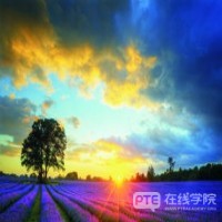 专家表示：本财年PR发放量恐退回15年前！可能只有15万甚至更低！