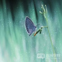 专科生去澳洲留学，专升硕和专升本哪个更适合你