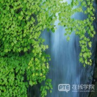 PTE考试中一些对阅读分数有贡献的题型