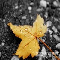10月起澳洲PR持有者不再免签新西兰？NO！多花几十纽币走ETA而已！