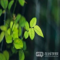预科、文凭课程、语言课程三者有何关系？