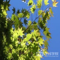 PTE口语怎么养成标准的发音？
