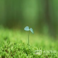 2019年澳洲财富鄙视链最新出炉！即使百万年薪，没有这个也是最底层！