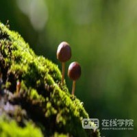 注意！7年吸金110亿澳元？移民局或将重审这个澳洲签证