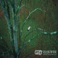 PTE考试和托福考试对比