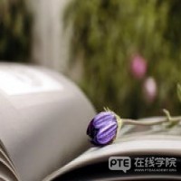 PTE考试DI题型答题技巧有哪些？