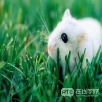 【移民EOI战报】邀请大爆发，热门专业降分！会计90分！审计85分！IT 85分！工程85分！
