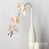 扒一扒澳洲大学都有哪些“宝藏专业”？