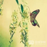 为何留学生偏偏扎堆悉尼？这就是答案！