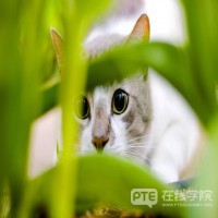 最新澳洲留学费用盘点，原来都花在这些事情上了！
