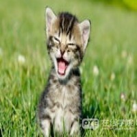 澳洲留学，知道这些可以提高申请成功率！