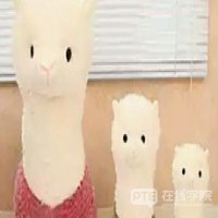 南澳大学2020年奖学金公布，你准备好了吗？