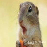 【澳洲留学】如何找到高质量的实习？