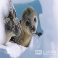 2020 QS毕业生就业力排名！澳洲大学名列前茅！